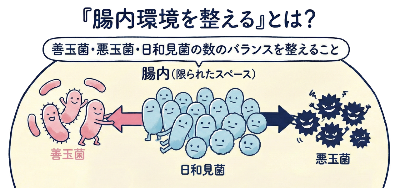 「腸内環境を整える」とは?
善玉菌・悪玉菌・日和見菌の数のバランスを整えること