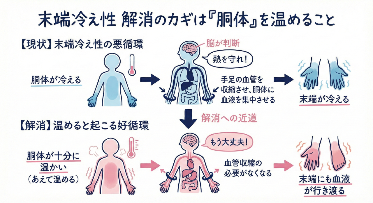 末端冷え性 解消のカギは『胴体』を温めること