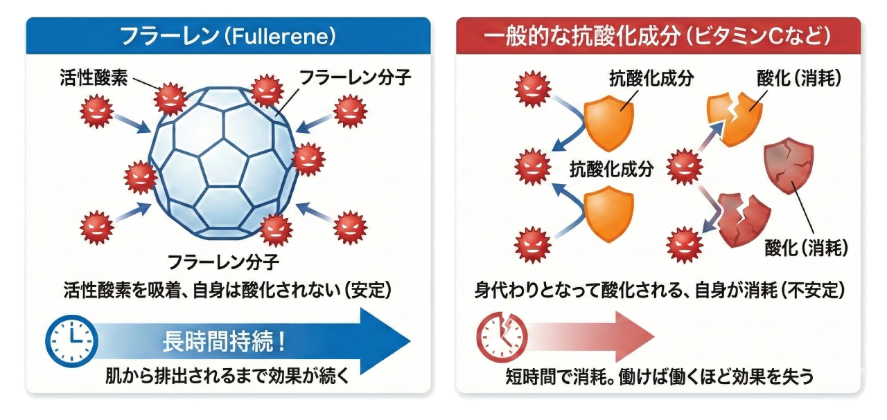 フラーレンと一般的な抗酸化成分の持続力の差を表した図解