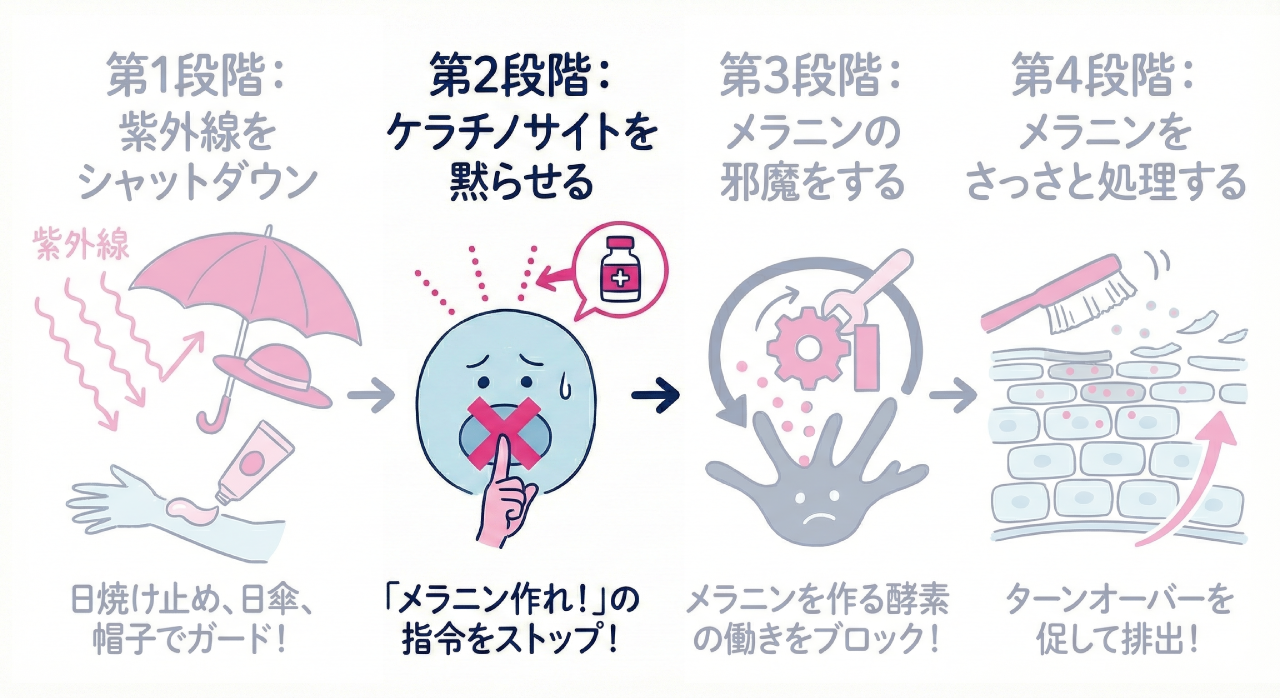 第2段階:ケラチノサイトを黙らせる