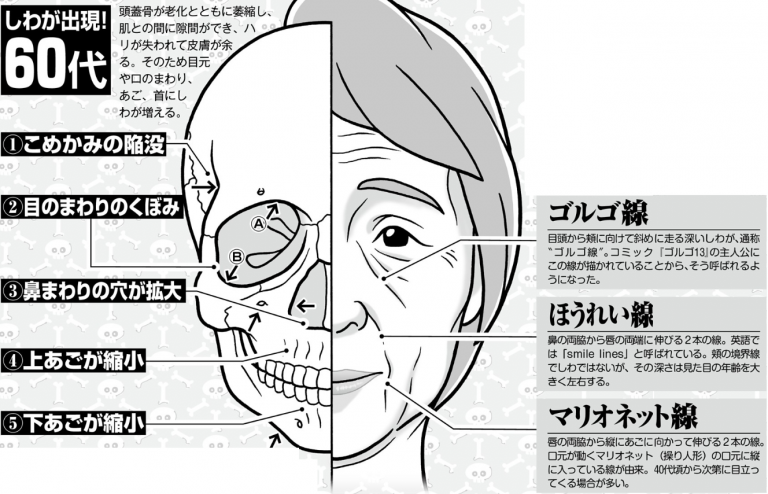 頭蓋骨の老化で顔が老ける