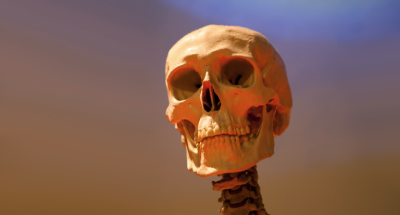 「頭蓋骨」の老化で顔が老けるらしい。骨のアンチエイジングが必要